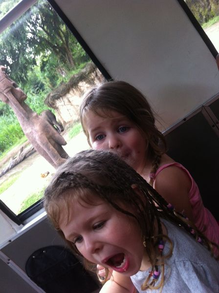 Bali Safari Park review with kids