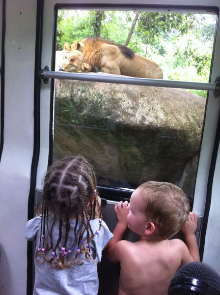 Bali Safari Park review with kids - tram ride