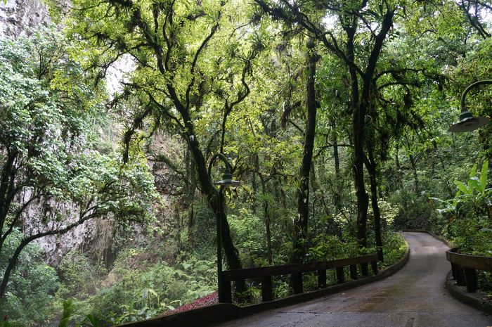 Visiting Rio Camuy Cave Park in Puerto Rico - pathway