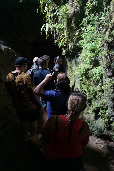 Visiting Rio Camuy Cave Park in Puerto Rico crowds