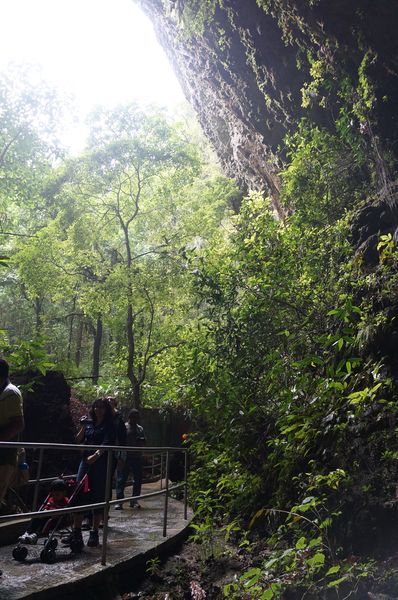 Visiting Rio Camuy Cave Park in Puerto Rico guided tour