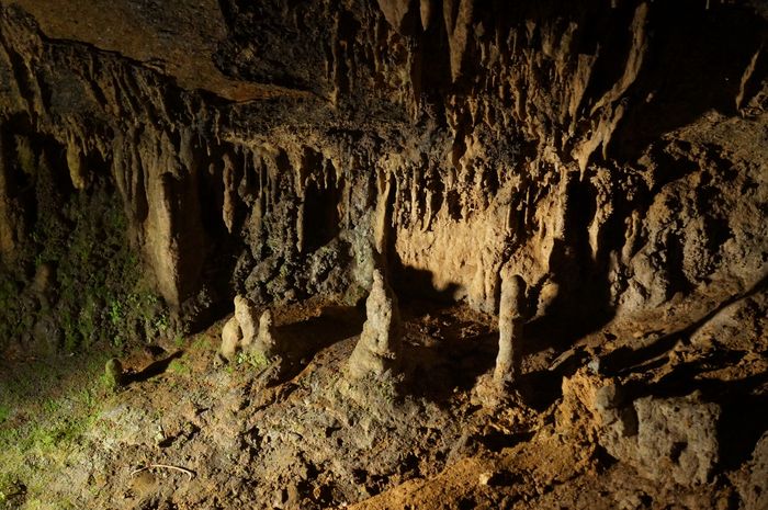 Visiting Rio Camuy Cave Park in Puerto Rico cave formations