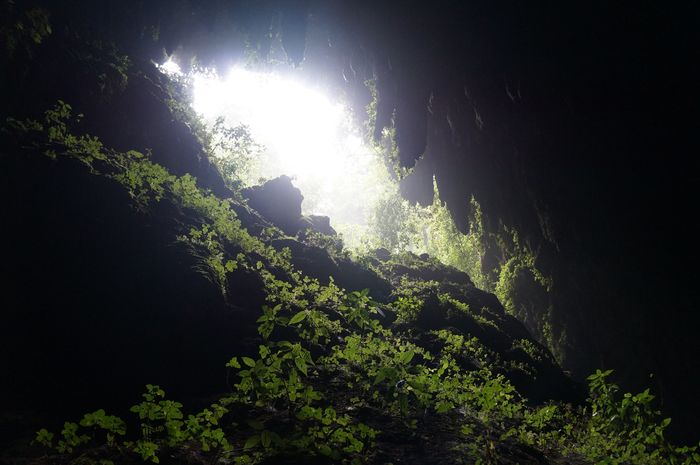 Visiting Rio Camuy Cave Park in Puerto Rico