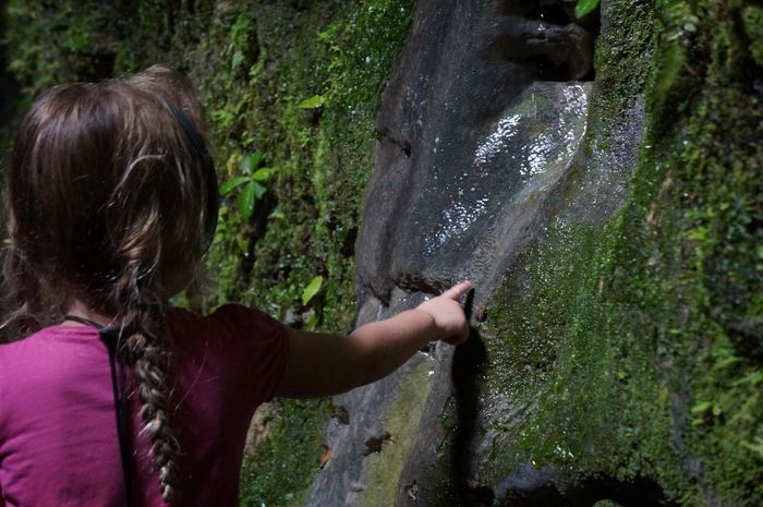 Visiting Rio Camuy Cave Park in Puerto Rico